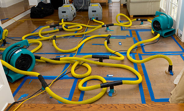 Professional Crawl Space Water Removal technician working in Mantua, UT